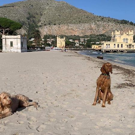 Due Cani Apartment Palermo Zewnętrze zdjęcie
